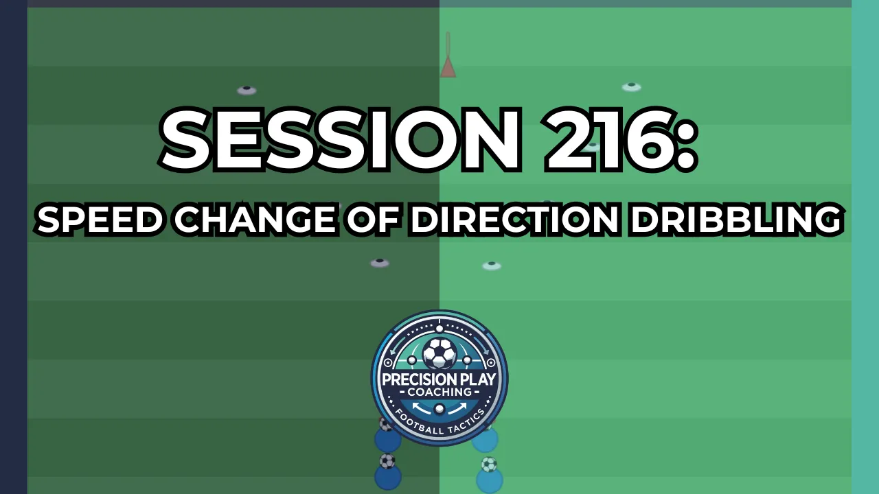 Session 216: Speed Change of Direction Dribbling thumbnail